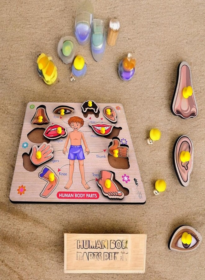 Stylbase Educational Toys Wooden Blocks Puzzle Kids Game | Interactive Learning Kids Toys for 2 - 5 Years Boy & Girls Toy Ideal for Birthday Gift (Human Body Parts) - Image 5